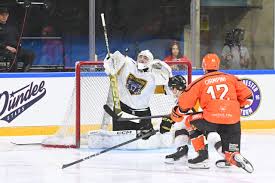 Image result for Nottingham Panthers