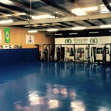 Image result for Team Renegade BJJ & Judo