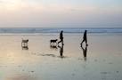 SW5742 : Walking the dogs on - via Daymix