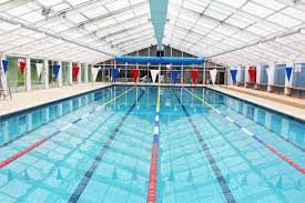 Image result for Haywards Heath Swimming Club