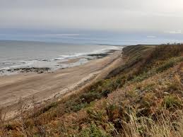 Image result for Blackhall Cricket Club