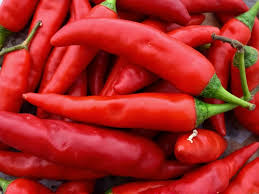 Afbeeldingsresultaat voor chile de arbol hot pepper