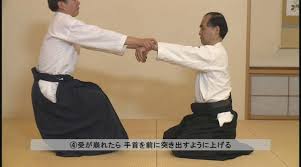Image result for Kyo Rioku Jutsu