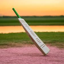 Image result for Louth Cricket Club