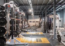 Image result for Angmering School Of Gym