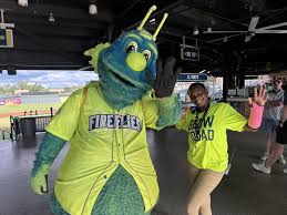 Image result for Fireflys Badminton Club