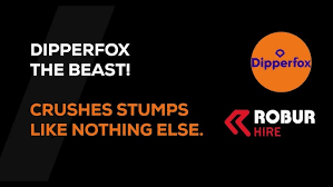 Image result for dipperfox tehron