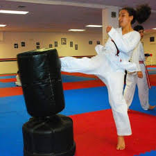 Image result for Cornwall Tae Kwon-Do