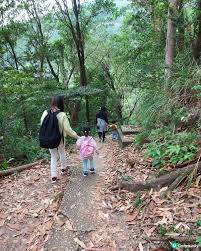 Image result for 水野X68仁義