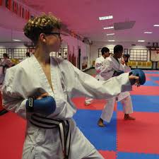 Image result for Zen Shin Seicho Do Adult Karate