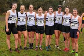 Image result for Cheltenham and County Harriers