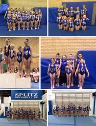 Image result for South Western Gymnastics Club