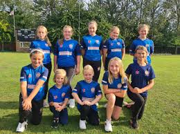 Image result for Seaham Harbour Cricket Club