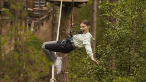 Image result for Go Ape! Grizedale