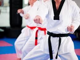 Image result for Springwood Karate