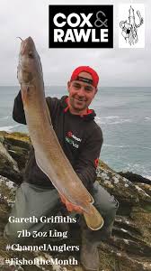 Image result for Bristol Channel Sea Fishing