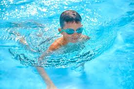 Image result for Swimming