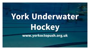 Image result for York Octopush Club