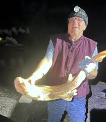 Image result for British Conger Club