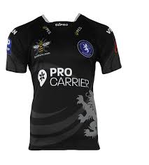 Image result for Swinton Lions