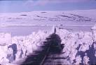 NY8882 : After the Snowstorm - via Daymix