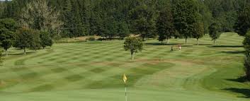Image result for Kirkby Lonsdale Golf Club