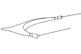 Image result for Raja straeleni