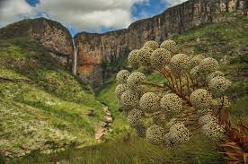 Image result for Cachoeira do Tabuleiro