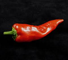 Afbeeldingsresultaat voor chili maya hot pepper hot pepper