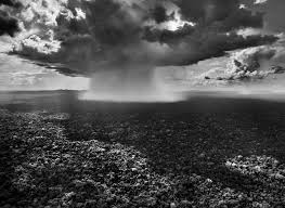 Image result for sebastiao salgado