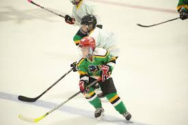 Image result for Adur Skater Hockey Club
