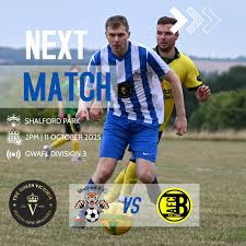 Image result for Shalford F C