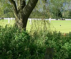 Image result for Sileby Town Cc