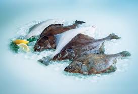 Image result for Parophrys vetulus