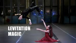 Image result for L&G Acrobatics