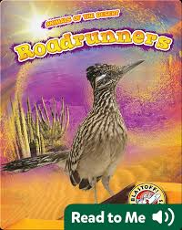 Image result for Reading Roadrunners