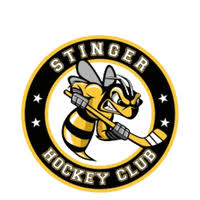 Image result for Stingers Korfball Club