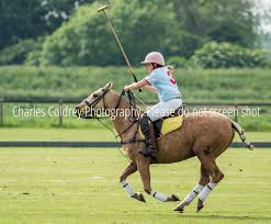 Image result for Cambridge and Newmarket Polo Club