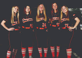 Image result for Dragons Softball Club
