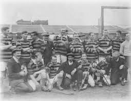 Image result for World of Shinty