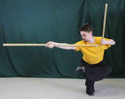 Image result for WUQI KUNG FU AND HEALTH SOCIETY