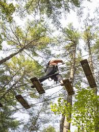 Image result for Extreme Adventures Parkour Club