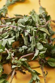 Image result for Oregano