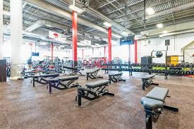 Image result for York University Aerobics Club