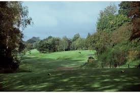 Image result for Alfreton Golf Club