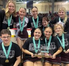 Image result for Norfolk Schools Badminton Club