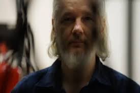 Image result for julian assange
