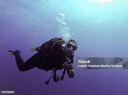 Image result for Canary Divers