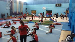 Image result for Elite Recreational Gymnastics Club