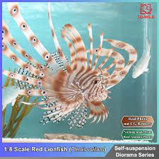 Image result for Pterois volitans